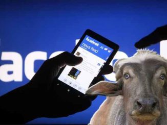 Notizie bufale su Facebook, ecco le mosse di Zuckerberg contro la disinformazione