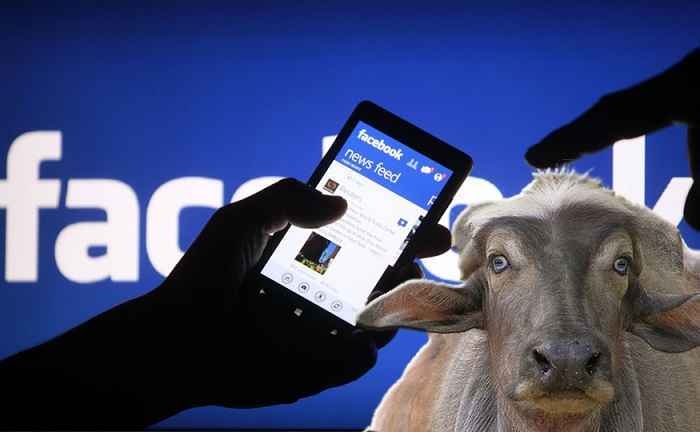 Notizie bufale su Facebook, ecco le mosse di Zuckerberg contro la disinformazione