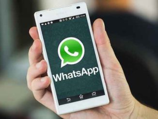 WhatsApp "stati": tutti i trucchi per utilizzare al meglio la nuova funzione