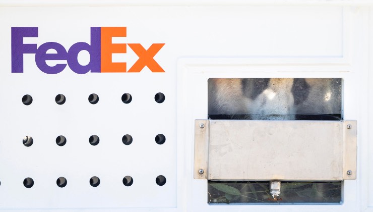 I dettagli sulla nuova piattaforma di FedEx alternativa ad Amazon