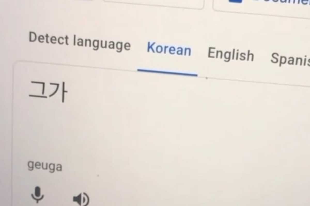 Google Translate funzione